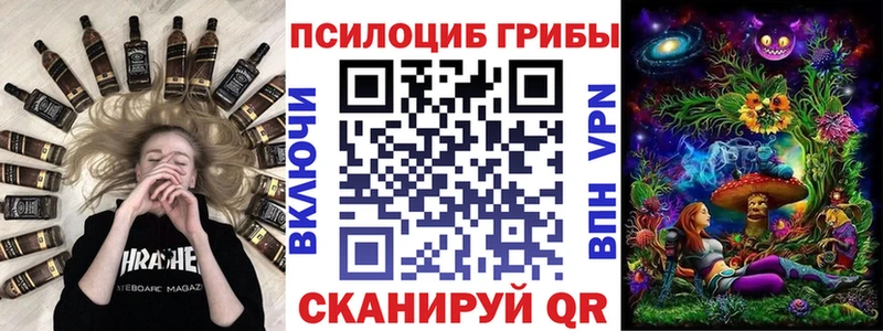 Псилоцибиновые грибы Psilocybe  где купить   гидра онион  Усолье 